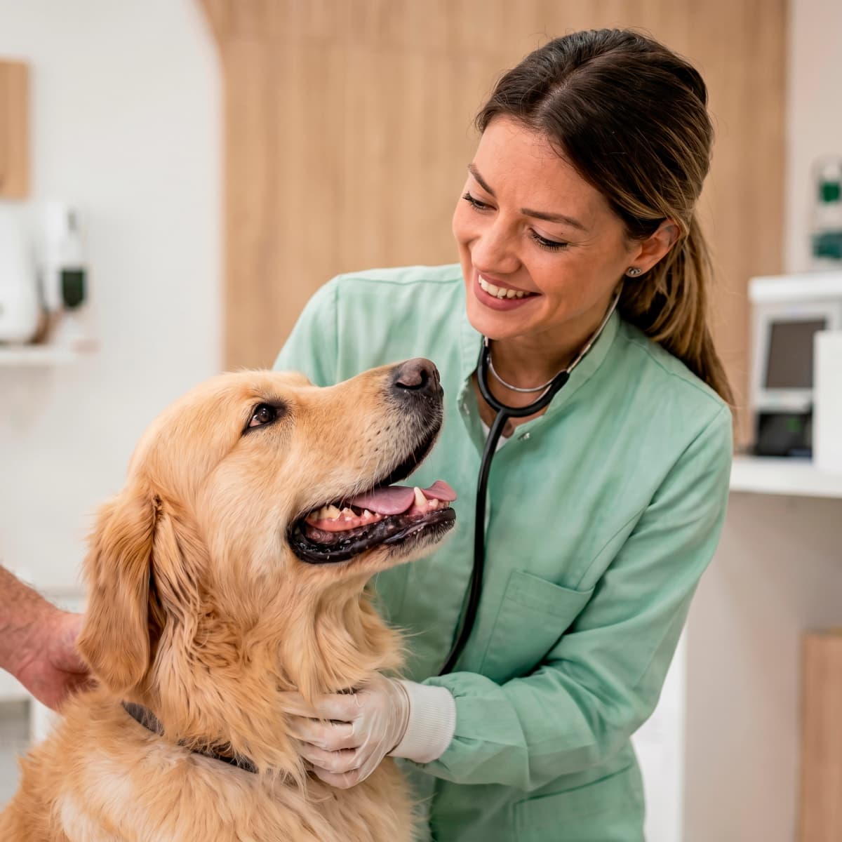 Mulher sorrindo com seu cachorro — Pet Fácil Saúde